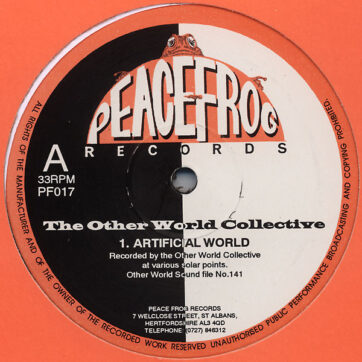 The Other World Collective - Artificial World (12")