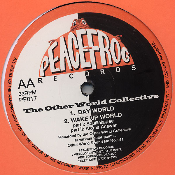 The Other World Collective - Artificial World (12") - Image 2